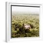¡Viva Mexico! Square Collection - Ancient Maya City within the Jungle - Calakmul V-Philippe Hugonnard-Framed Photographic Print