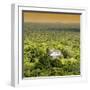 ¡Viva Mexico! Square Collection - Ancient Maya City within the Jungle - Calakmul VI-Philippe Hugonnard-Framed Photographic Print