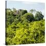 ¡Viva Mexico! Square Collection - Ancient Maya City within the Jungle - Calakmul-Philippe Hugonnard-Stretched Canvas