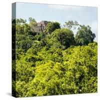 ¡Viva Mexico! Square Collection - Ancient Maya City within the Jungle - Calakmul-Philippe Hugonnard-Stretched Canvas