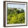 ¡Viva Mexico! Square Collection - Ancient Maya City within the Jungle - Calakmul-Philippe Hugonnard-Framed Photographic Print