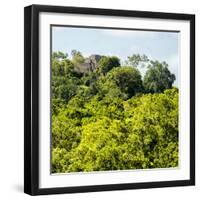 ¡Viva Mexico! Square Collection - Ancient Maya City within the Jungle - Calakmul-Philippe Hugonnard-Framed Photographic Print
