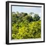 ¡Viva Mexico! Square Collection - Ancient Maya City within the Jungle - Calakmul-Philippe Hugonnard-Framed Photographic Print