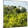 ¡Viva Mexico! Square Collection - Ancient Maya City within the Jungle - Calakmul-Philippe Hugonnard-Mounted Photographic Print