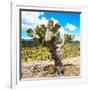 ¡Viva Mexico! Square Collection - Cactus Desert III-Philippe Hugonnard-Framed Photographic Print