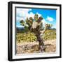 ¡Viva Mexico! Square Collection - Cactus Desert III-Philippe Hugonnard-Framed Photographic Print