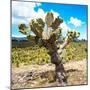 ¡Viva Mexico! Square Collection - Cactus Desert III-Philippe Hugonnard-Mounted Photographic Print