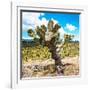 ¡Viva Mexico! Square Collection - Cactus Desert III-Philippe Hugonnard-Framed Photographic Print