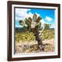 ¡Viva Mexico! Square Collection - Cactus Desert III-Philippe Hugonnard-Framed Photographic Print