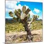 ¡Viva Mexico! Square Collection - Cactus Desert III-Philippe Hugonnard-Mounted Photographic Print