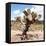 ?Viva Mexico! Square Collection - Cactus Desert IV-Philippe Hugonnard-Framed Stretched Canvas
