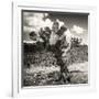 ¡Viva Mexico! Square Collection - Cactus Desert-Philippe Hugonnard-Framed Photographic Print