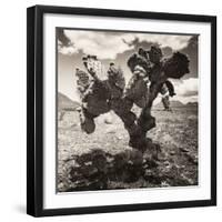 ¡Viva Mexico! Square Collection - Cactus I-Philippe Hugonnard-Framed Photographic Print