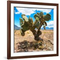 ¡Viva Mexico! Square Collection - Cactus II-Philippe Hugonnard-Framed Photographic Print