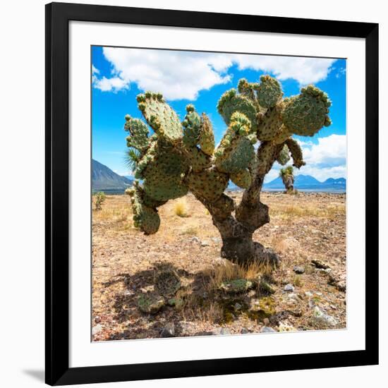 ¡Viva Mexico! Square Collection - Cactus II-Philippe Hugonnard-Framed Photographic Print