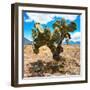 ¡Viva Mexico! Square Collection - Cactus II-Philippe Hugonnard-Framed Photographic Print