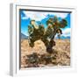 ¡Viva Mexico! Square Collection - Cactus II-Philippe Hugonnard-Framed Photographic Print