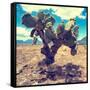 ¡Viva Mexico! Square Collection - Cactus IV-Philippe Hugonnard-Framed Stretched Canvas