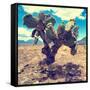 ¡Viva Mexico! Square Collection - Cactus IV-Philippe Hugonnard-Framed Stretched Canvas