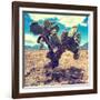 ¡Viva Mexico! Square Collection - Cactus IV-Philippe Hugonnard-Framed Photographic Print
