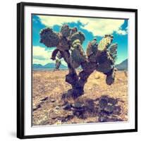 ¡Viva Mexico! Square Collection - Cactus IV-Philippe Hugonnard-Framed Photographic Print
