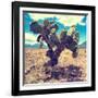 ¡Viva Mexico! Square Collection - Cactus IV-Philippe Hugonnard-Framed Photographic Print