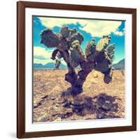 ¡Viva Mexico! Square Collection - Cactus IV-Philippe Hugonnard-Framed Photographic Print