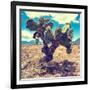 ¡Viva Mexico! Square Collection - Cactus IV-Philippe Hugonnard-Framed Photographic Print