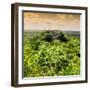 ¡Viva Mexico! Square Collection - Calakmul in the Mexican Jungle at Sunset-Philippe Hugonnard-Framed Photographic Print