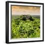 ¡Viva Mexico! Square Collection - Calakmul in the Mexican Jungle at Sunset-Philippe Hugonnard-Framed Photographic Print