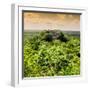 ¡Viva Mexico! Square Collection - Calakmul in the Mexican Jungle at Sunset-Philippe Hugonnard-Framed Photographic Print