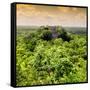 ¡Viva Mexico! Square Collection - Calakmul in the Mexican Jungle at Sunset-Philippe Hugonnard-Framed Stretched Canvas