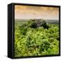 ¡Viva Mexico! Square Collection - Calakmul in the Mexican Jungle at Sunset-Philippe Hugonnard-Framed Stretched Canvas