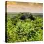 ¡Viva Mexico! Square Collection - Calakmul in the Mexican Jungle at Sunset-Philippe Hugonnard-Stretched Canvas