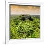 ¡Viva Mexico! Square Collection - Calakmul in the Mexican Jungle at Sunset-Philippe Hugonnard-Framed Photographic Print