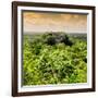 ¡Viva Mexico! Square Collection - Calakmul in the Mexican Jungle at Sunset-Philippe Hugonnard-Framed Photographic Print