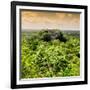 ¡Viva Mexico! Square Collection - Calakmul in the Mexican Jungle at Sunset-Philippe Hugonnard-Framed Photographic Print