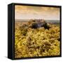 ¡Viva Mexico! Square Collection - Calakmul in the Mexican Jungle with Fall Colors-Philippe Hugonnard-Framed Stretched Canvas