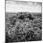 ¡Viva Mexico! Square Collection - Calakmul in the Mexican Jungle-Philippe Hugonnard-Mounted Photographic Print