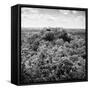 ¡Viva Mexico! Square Collection - Calakmul in the Mexican Jungle-Philippe Hugonnard-Framed Stretched Canvas