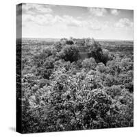 ¡Viva Mexico! Square Collection - Calakmul in the Mexican Jungle-Philippe Hugonnard-Stretched Canvas