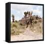 ¡Viva Mexico! Square Collection - Cantona Archaeological Ruins I-Philippe Hugonnard-Framed Stretched Canvas