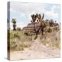 ¡Viva Mexico! Square Collection - Cantona Archaeological Ruins I-Philippe Hugonnard-Stretched Canvas