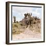 ¡Viva Mexico! Square Collection - Cantona Archaeological Ruins I-Philippe Hugonnard-Framed Photographic Print