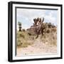 ¡Viva Mexico! Square Collection - Cantona Archaeological Ruins I-Philippe Hugonnard-Framed Photographic Print