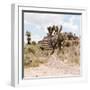 ¡Viva Mexico! Square Collection - Cantona Archaeological Ruins I-Philippe Hugonnard-Framed Photographic Print