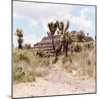¡Viva Mexico! Square Collection - Cantona Archaeological Ruins I-Philippe Hugonnard-Mounted Photographic Print