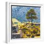 ¡Viva Mexico! Square Collection - Cantona Archaeological Ruins II - Puebla-Philippe Hugonnard-Framed Photographic Print