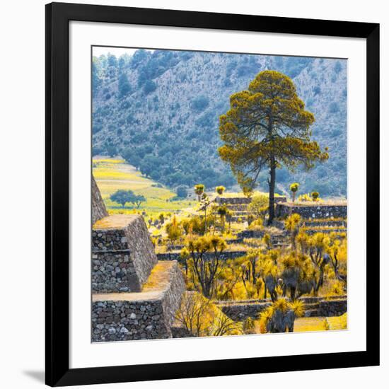 ¡Viva Mexico! Square Collection - Cantona Archaeological Ruins II - Puebla-Philippe Hugonnard-Framed Photographic Print