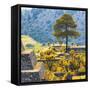 ¡Viva Mexico! Square Collection - Cantona Archaeological Ruins II - Puebla-Philippe Hugonnard-Framed Stretched Canvas